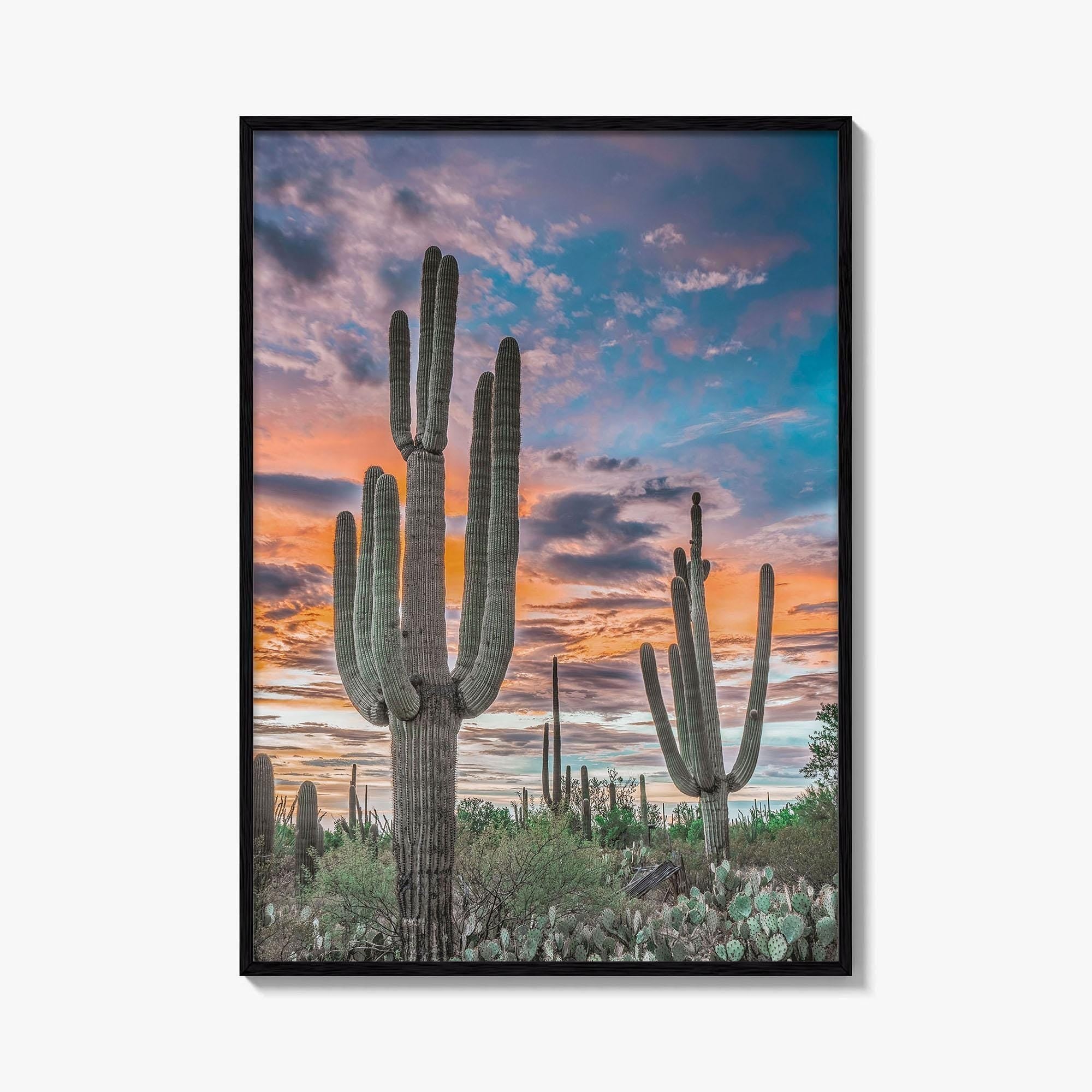 Saguaro National Park Fine Art Photo Print, Tucson Arizona USA, Wall Poster