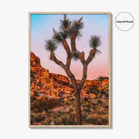 Joshua Tree National Park Blue Fine Art Photo Print, California Wall Decor Poster, USA