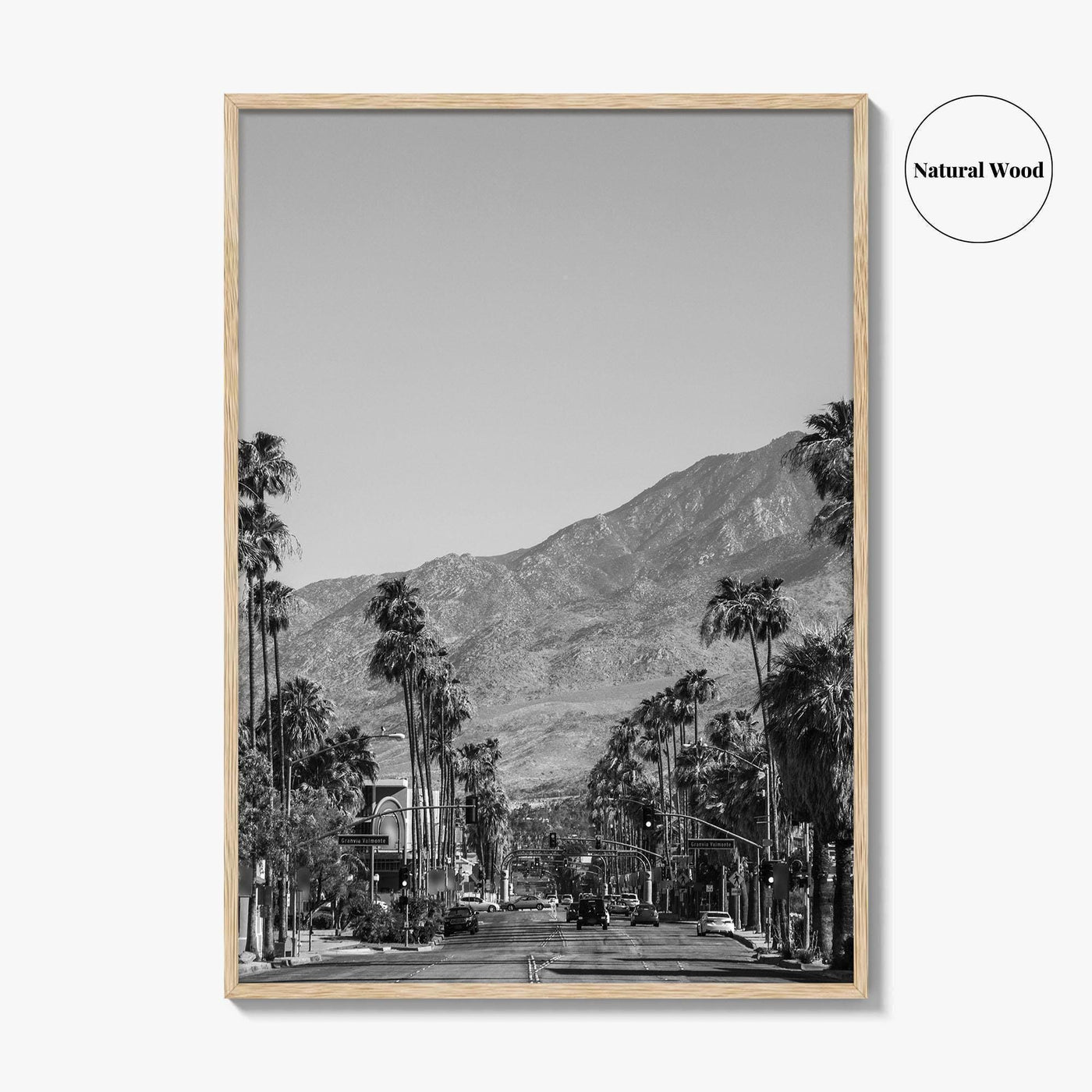 Palm Springs Skyline Black and White Fine Art Photo Print, Downtown California Poster
