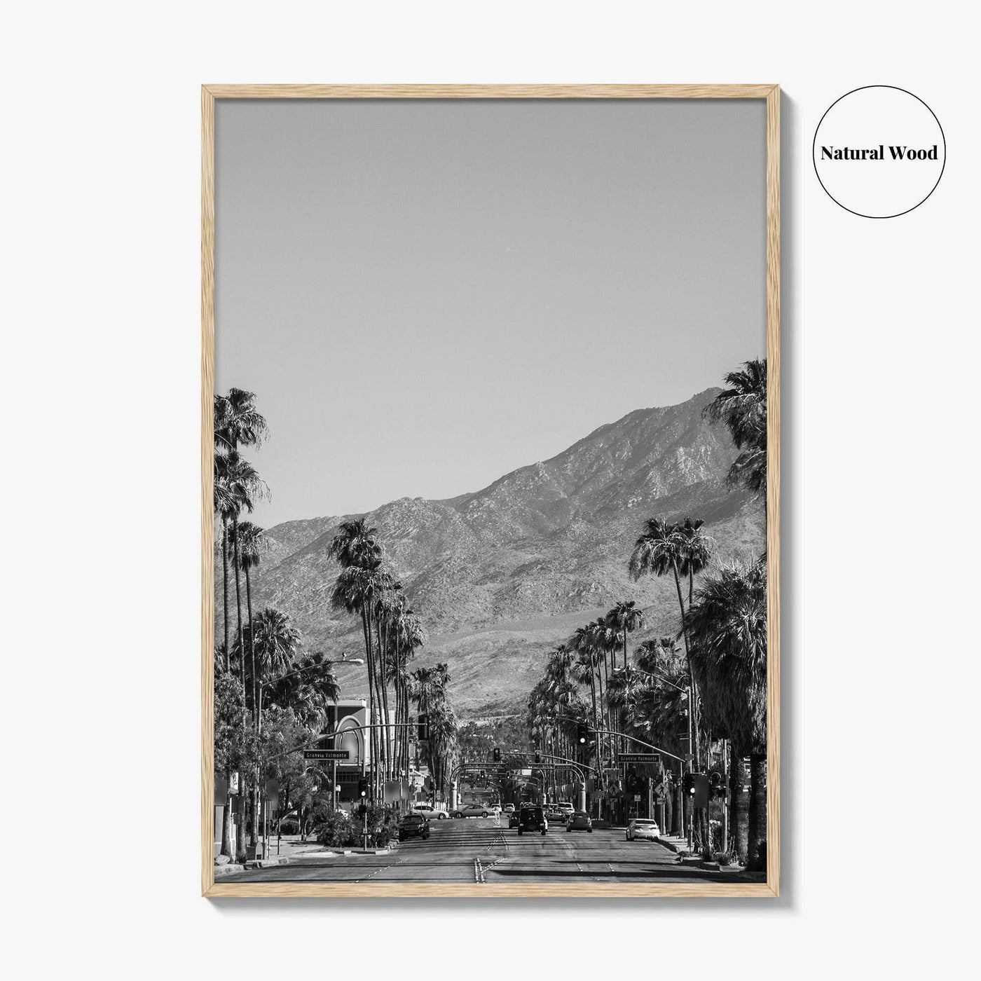 Palm Springs Skyline Black and White Fine Art Photo Print, Downtown California Poster