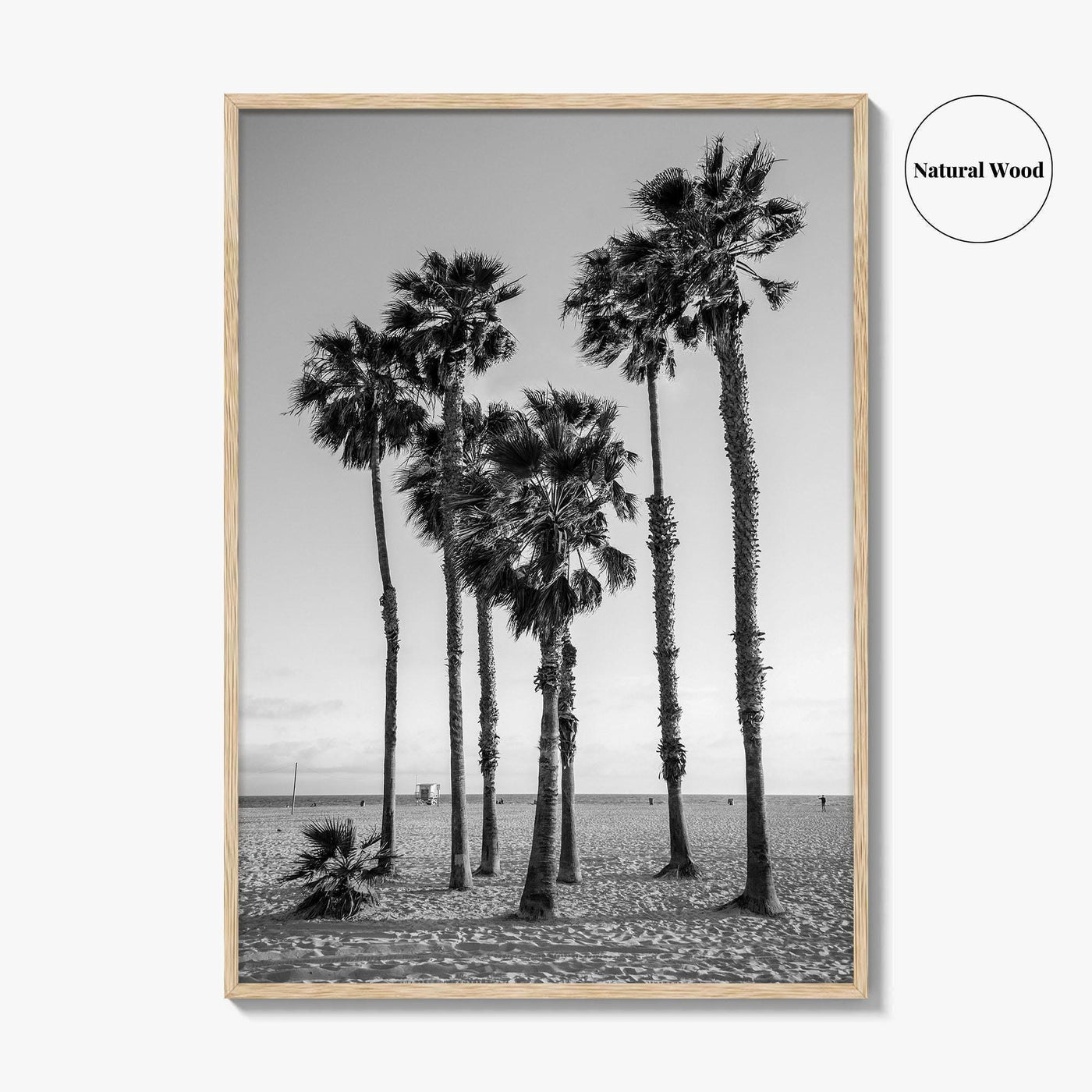 Santa Monica Black and White Fine Art Photo Print, California Palm Trees Poster