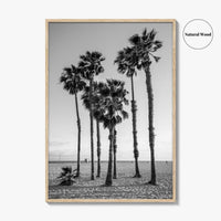 Santa Monica Black and White Fine Art Photo Print, California Palm Trees Poster
