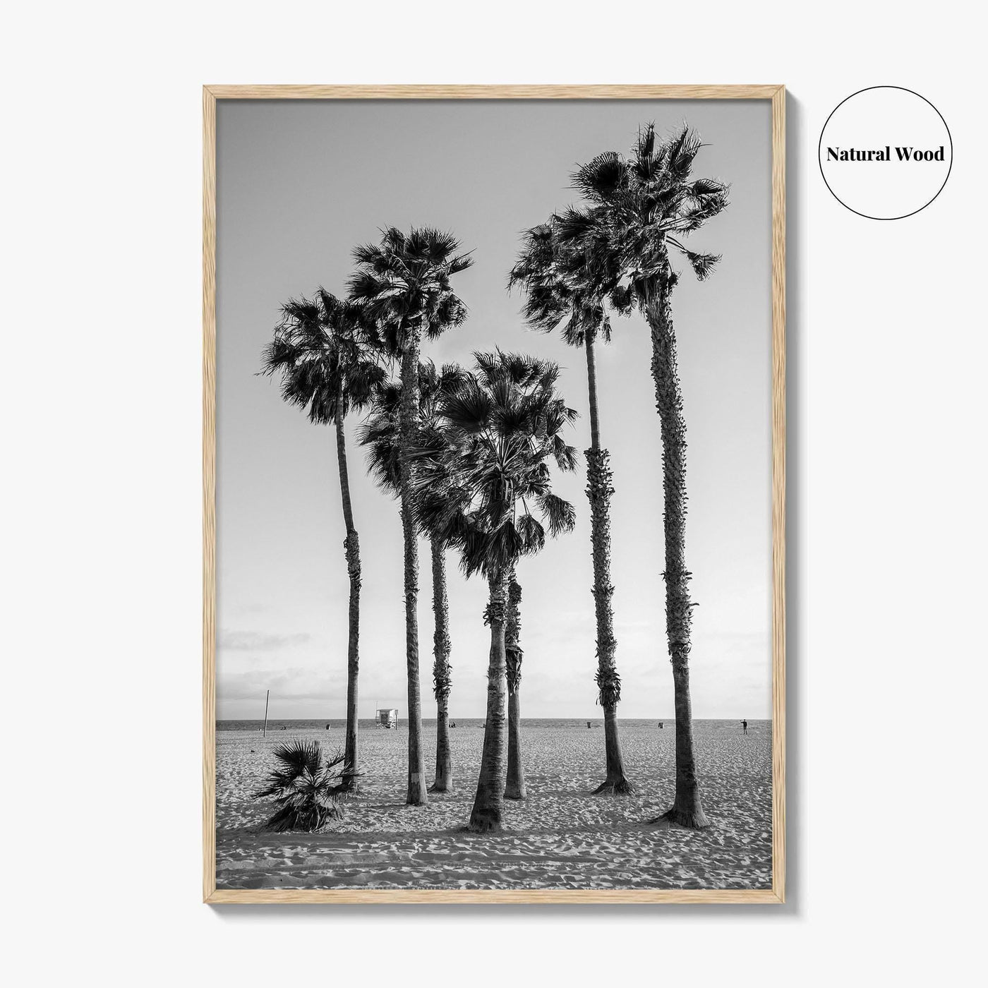 Santa Monica Black and White Fine Art Photo Print, California Palm Trees Poster