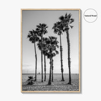 Santa Monica Black and White Fine Art Photo Print, California Palm Trees Poster