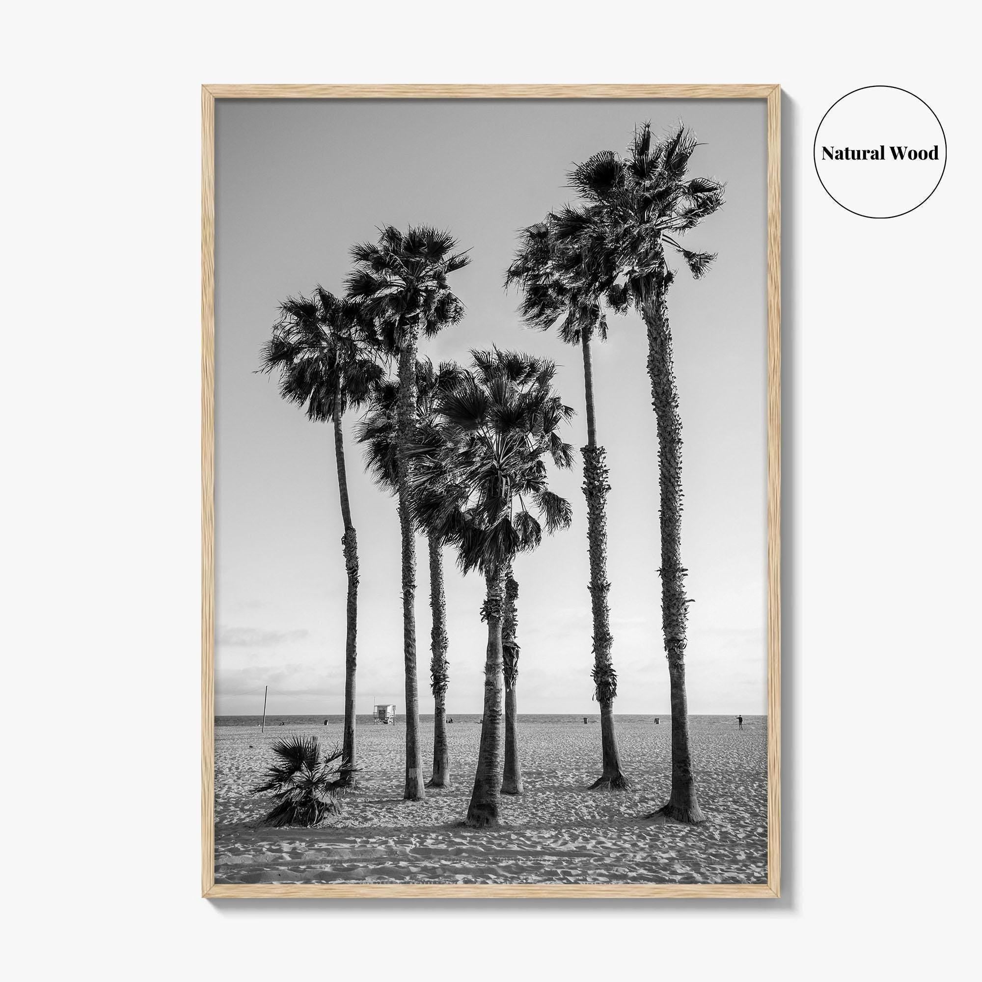 Santa Monica Black and White Fine Art Photo Print, California Palm Trees Poster