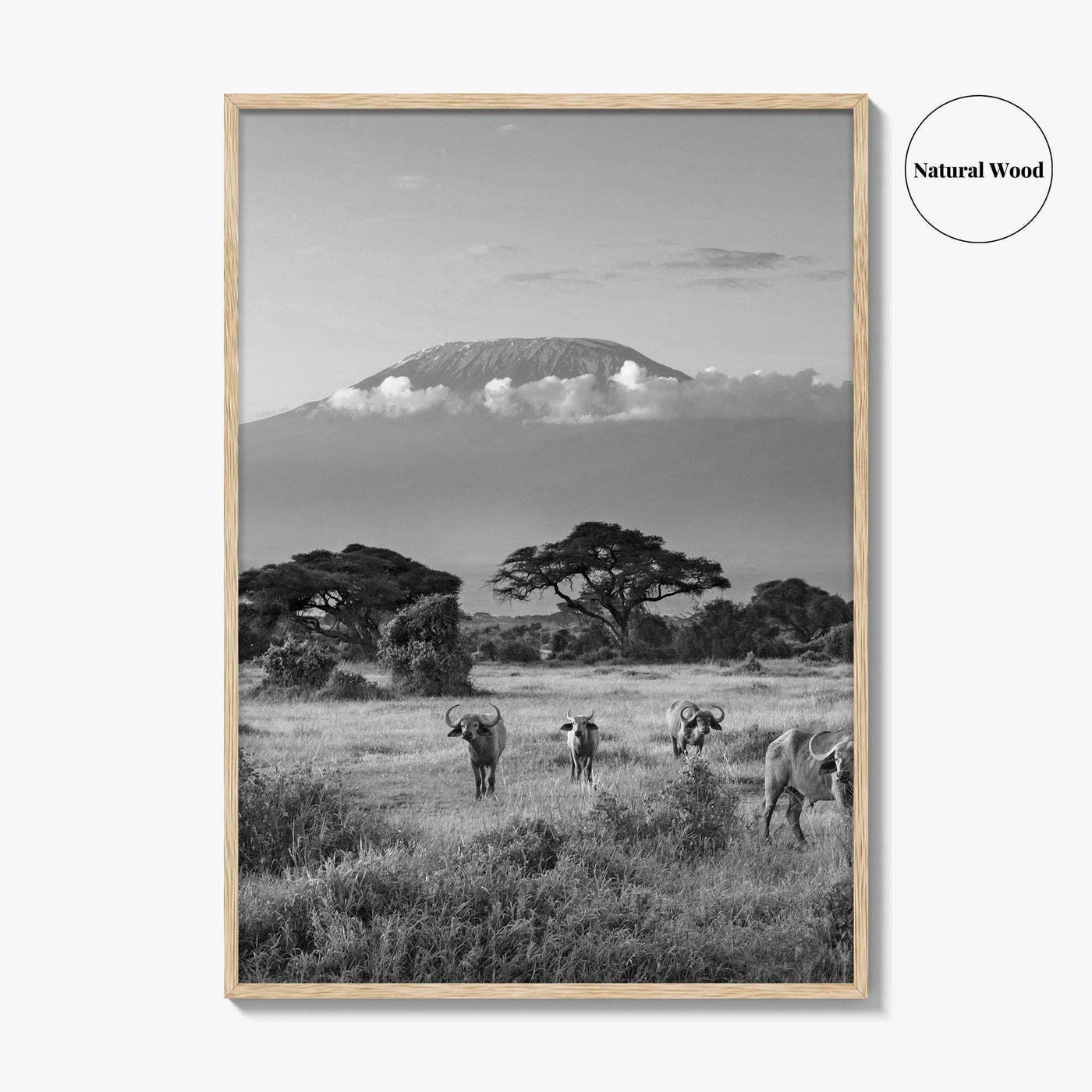 Mount Kilimanjaro Black and White Fine Art Photo Print, Amboseli, Kenya, Tanzania, Poster