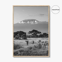 Mount Kilimanjaro Black and White Fine Art Photo Print, Amboseli, Kenya, Tanzania, Poster