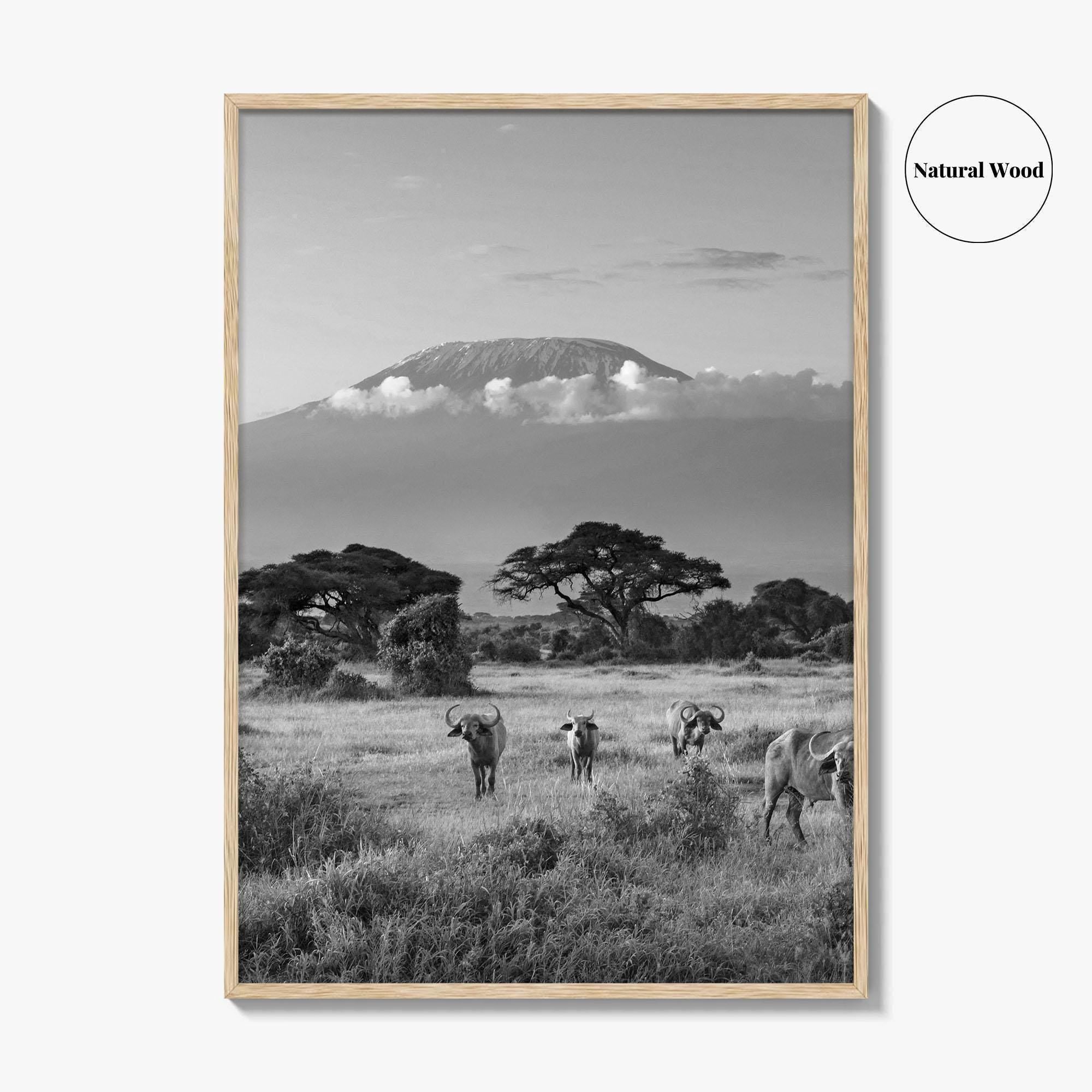 Mount Kilimanjaro Black and White Fine Art Photo Print, Amboseli, Kenya, Tanzania, Poster