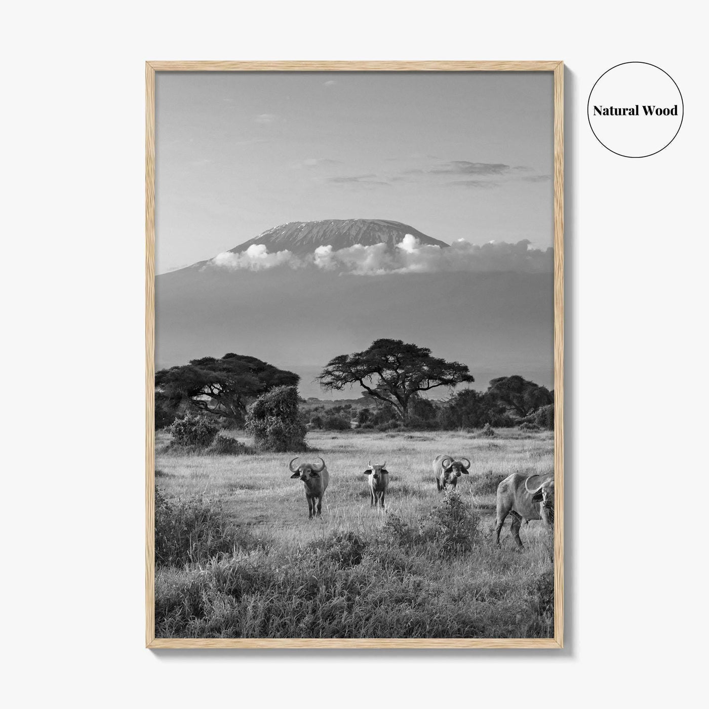 Mount Kilimanjaro Black and White Fine Art Photo Print, Amboseli, Kenya, Tanzania, Poster