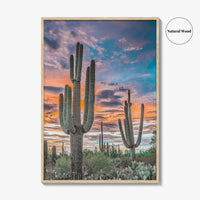 Saguaro National Park Fine Art Photo Print, Tucson Arizona USA, Wall Poster