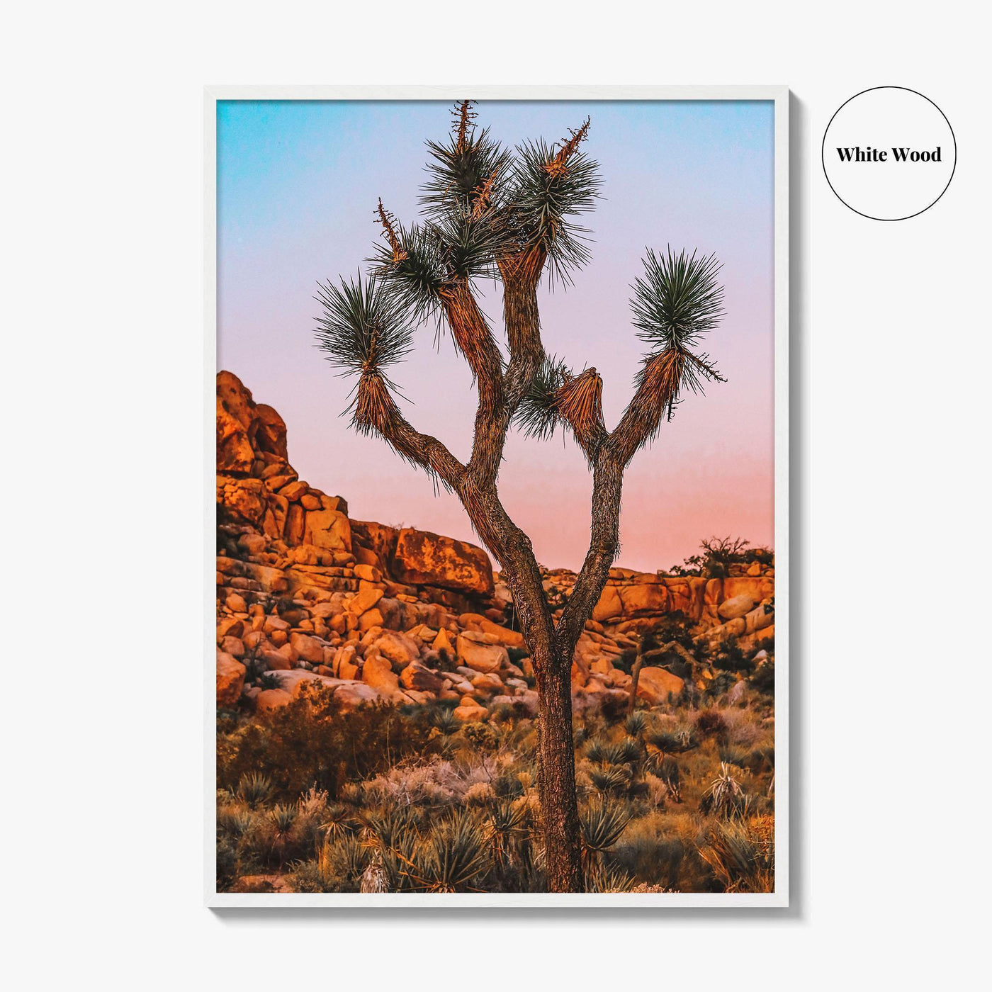 Joshua Tree National Park Blue Fine Art Photo Print, California Wall Decor Poster, USA