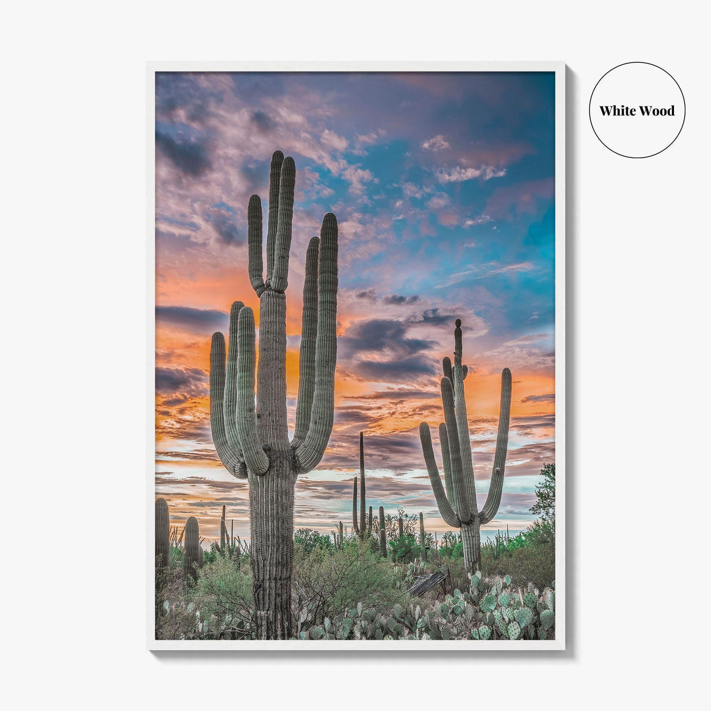 Saguaro National Park Fine Art Photo Print, Tucson Arizona USA, Wall Poster