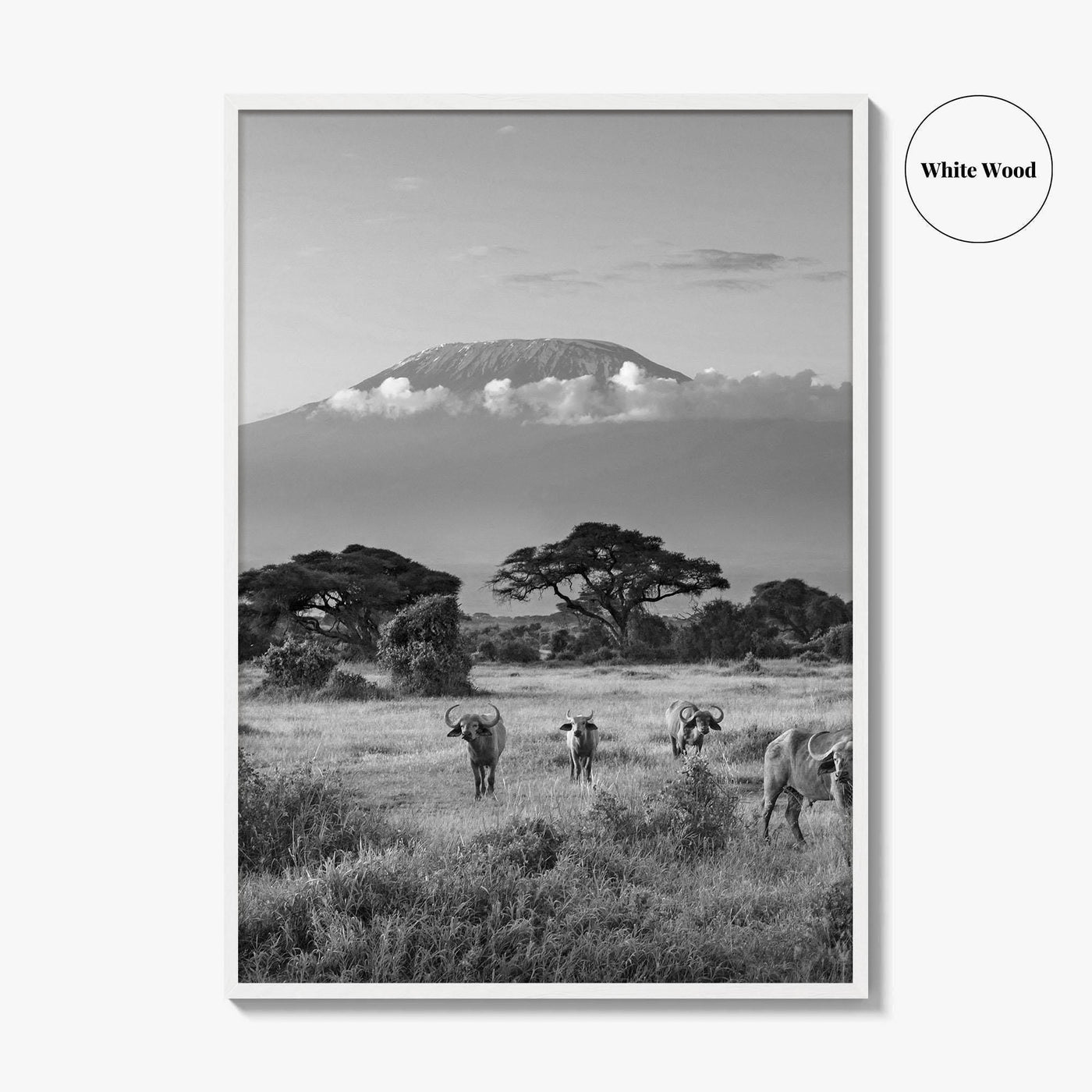 Mount Kilimanjaro Black and White Fine Art Photo Print, Amboseli, Kenya, Tanzania, Poster