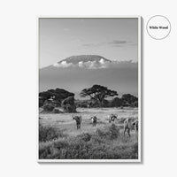 Mount Kilimanjaro Black and White Fine Art Photo Print, Amboseli, Kenya, Tanzania, Poster