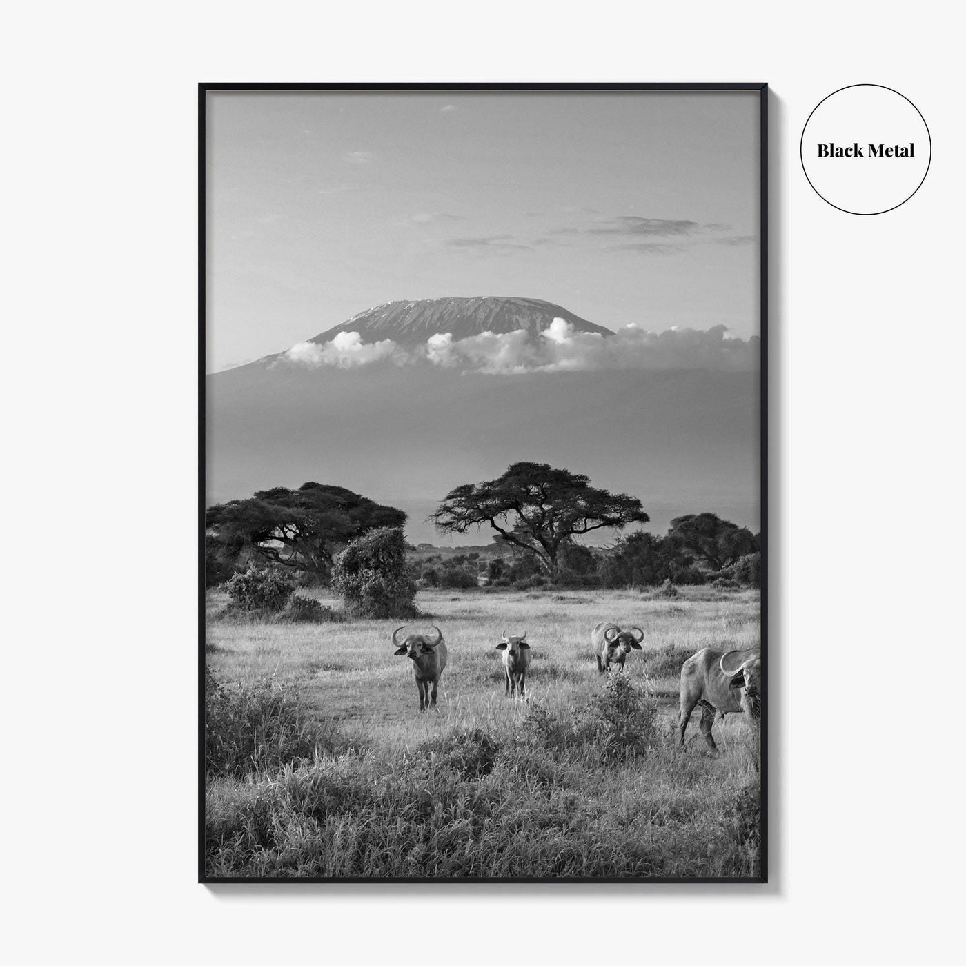 Mount Kilimanjaro Black and White Fine Art Photo Print, Amboseli, Kenya, Tanzania, Poster