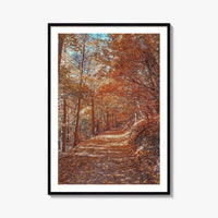 Tampa Mountain Fine Art Photo Print, Brasov Romania Poster, Transylvania Wall Art