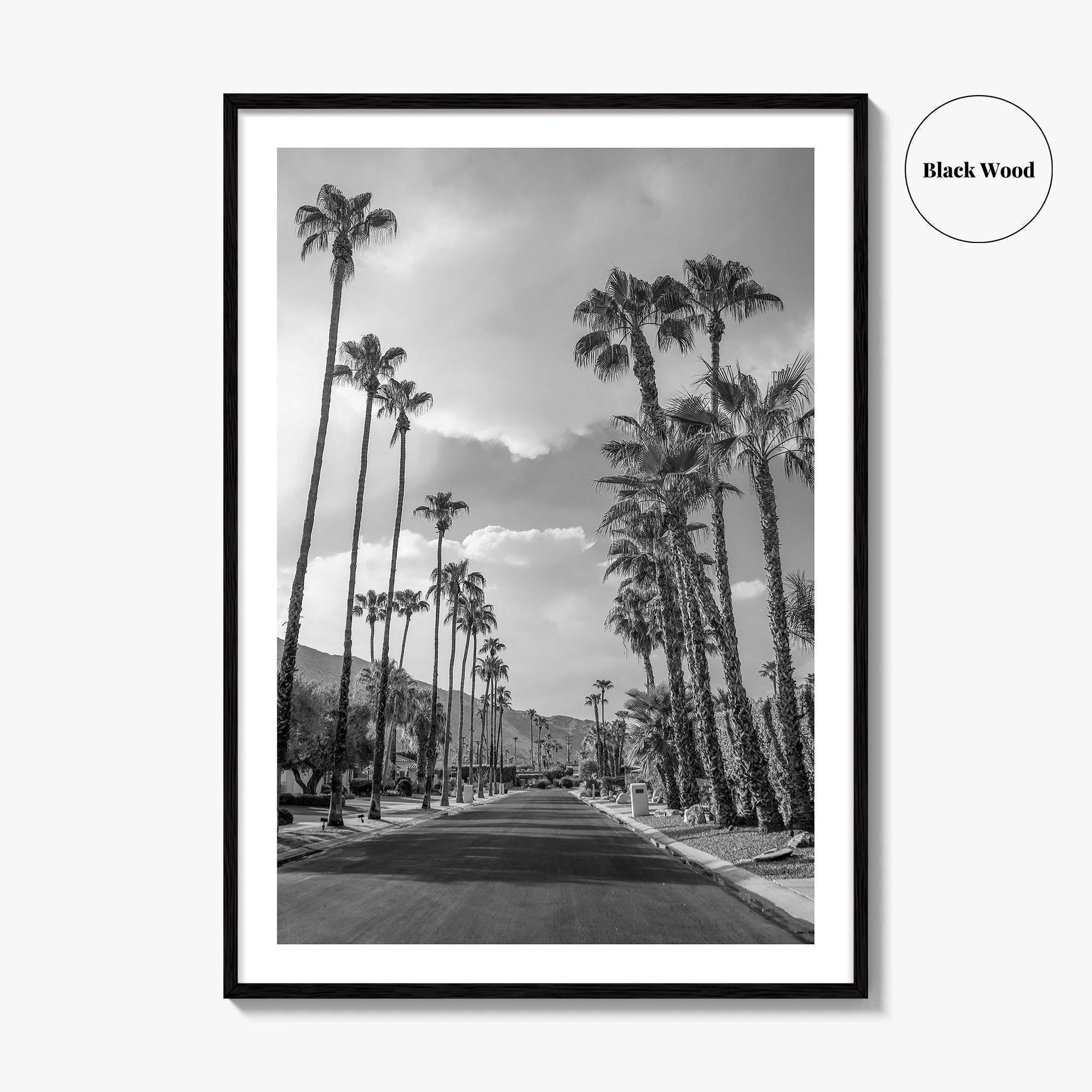 Palm Springs Black and White Fine Art Photo Print, Coachella Valley Poster