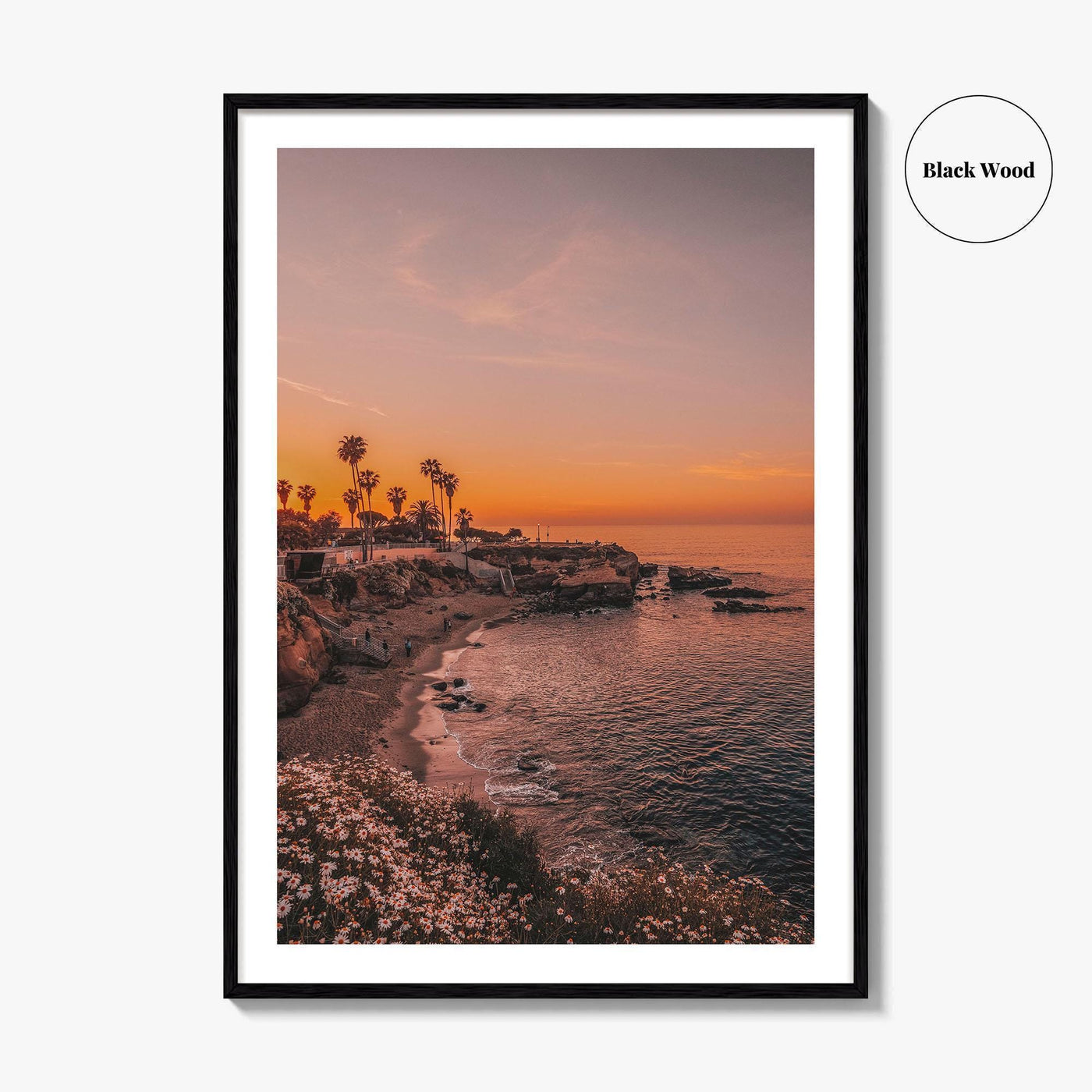 La Jolla Fine Art Photo Print, San Diego California Beach Wall Decor Poster, USA