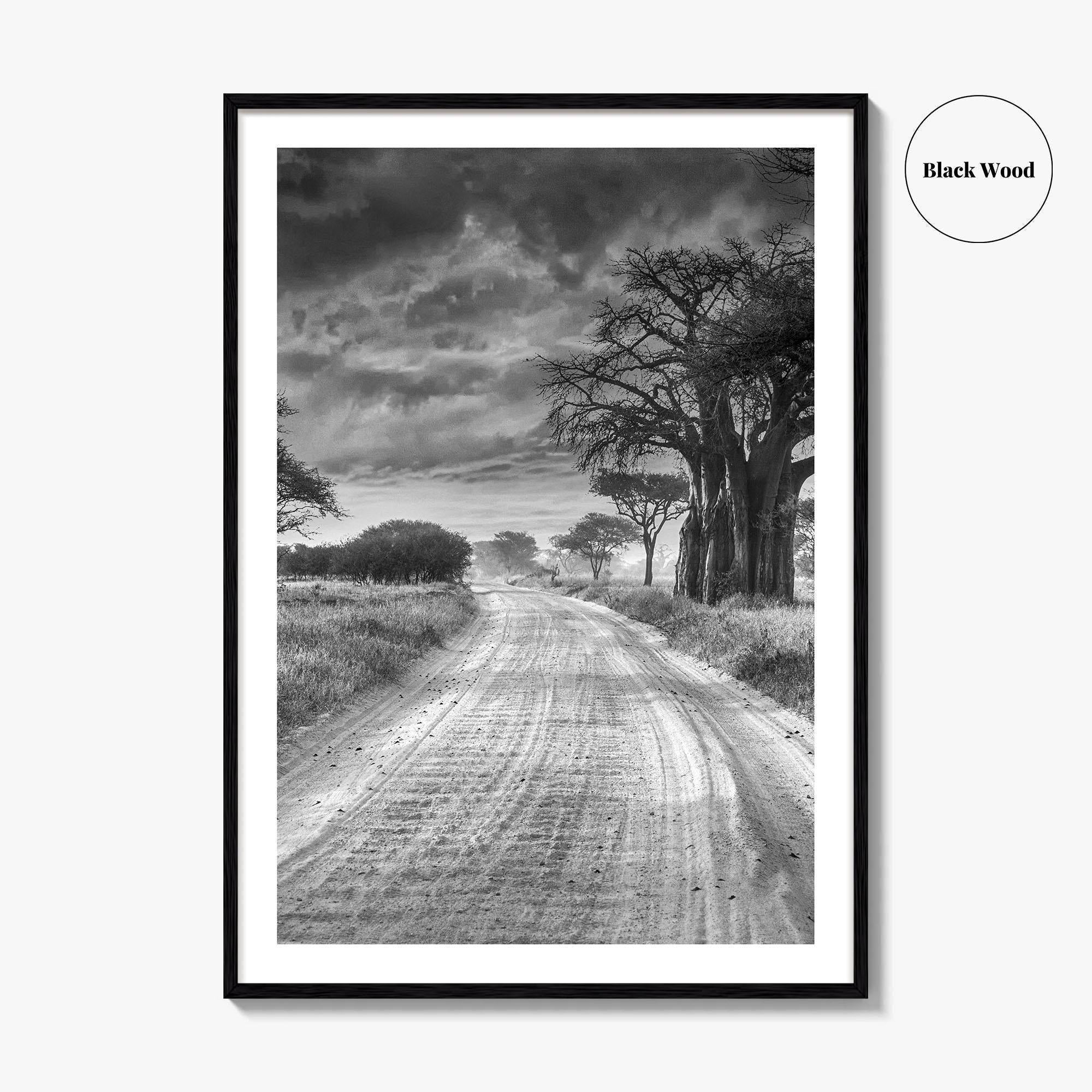 Tanzania Black and White Fine Art Photo Print, Africa Wall Art, Safari Poster