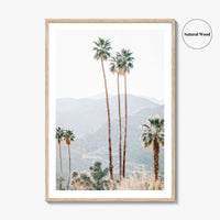 Palm Springs Fine Art Photo Print, Palm Trees, Mountains, California Poster, Coachella Valley