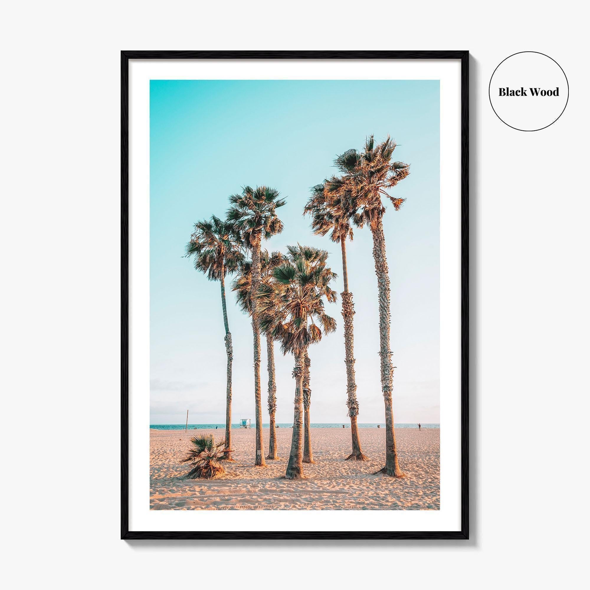 Santa Monica Fine Art Photo Print, Los Angeles, California Beach, Palm Trees, Wall Poster