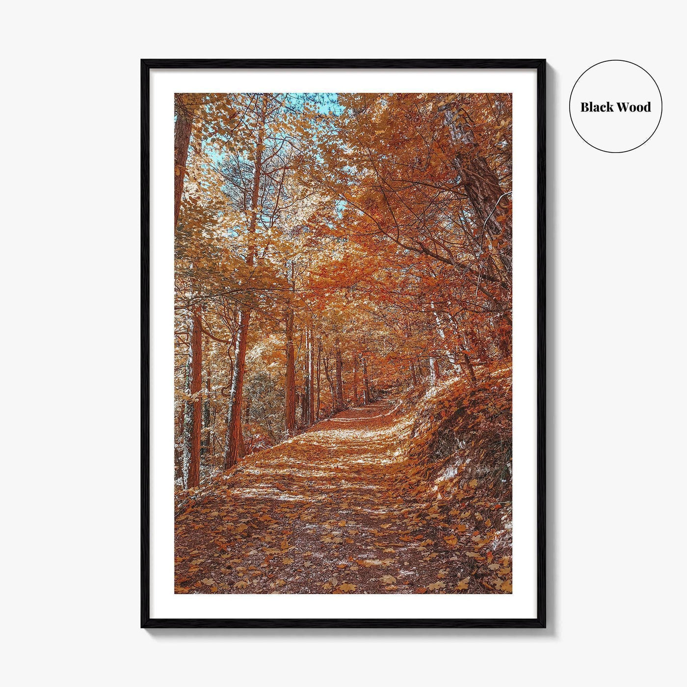 Tampa Mountain Fine Art Photo Print, Brasov Romania Poster, Transylvania Wall Art