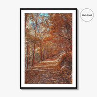 Tampa Mountain Fine Art Photo Print, Brasov Romania Poster, Transylvania Wall Art