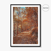 Tampa Mountain Fine Art Photo Print, Brasov Romania Poster, Transylvania Wall Art