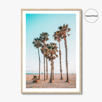Santa Monica Fine Art Photo Print, Los Angeles, California Beach, Palm Trees, Wall Poster