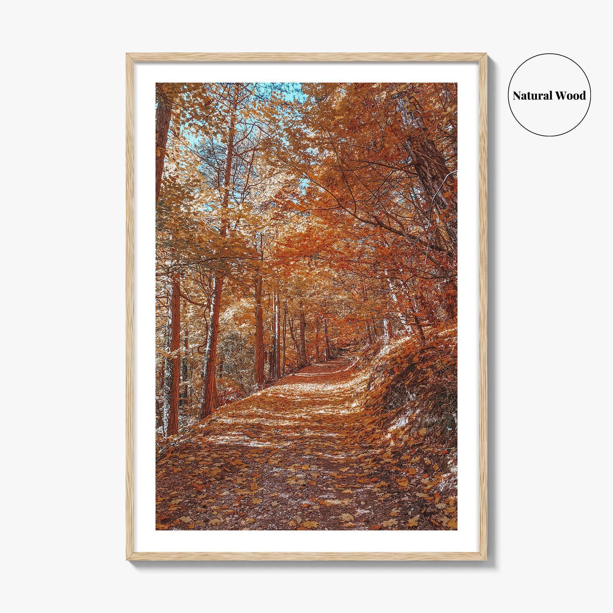 Tampa Mountain Fine Art Photo Print, Brasov Romania Poster, Transylvania Wall Art