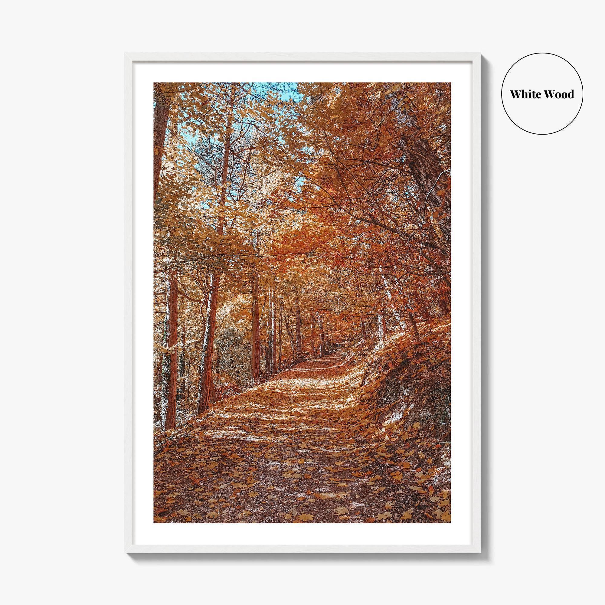 Tampa Mountain Fine Art Photo Print, Brasov Romania Poster, Transylvania Wall Art
