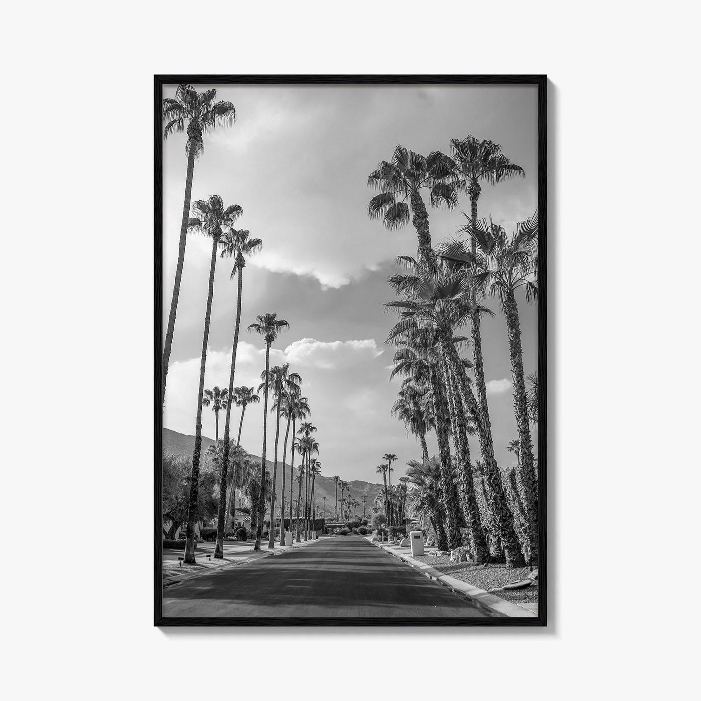 Palm Springs Black and White Fine Art Photo Print, Coachella Valley Poster