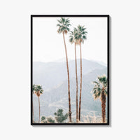 Palm Springs Fine Art Photo Print, Palm Trees, Mountains, California Poster, Coachella Valley