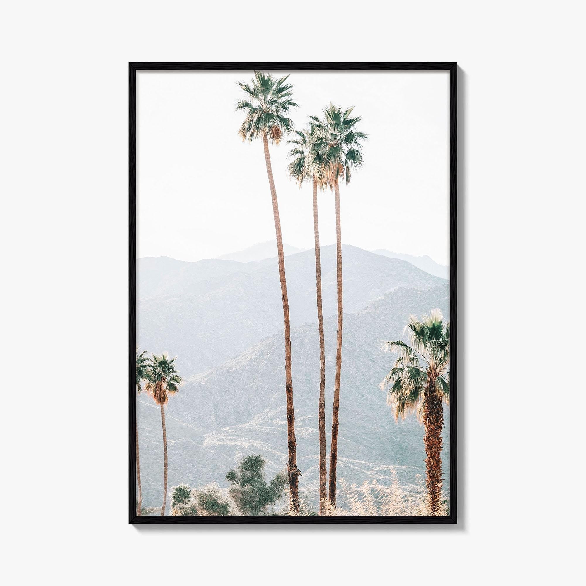 Palm Springs Fine Art Photo Print, Palm Trees, Mountains, California Poster, Coachella Valley