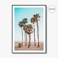 Santa Monica Fine Art Photo Print, Los Angeles, California Beach, Palm Trees, Wall Poster