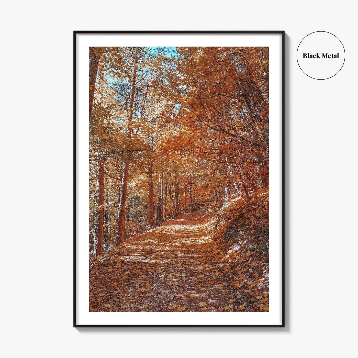 Tampa Mountain Fine Art Photo Print, Brasov Romania Poster, Transylvania Wall Art