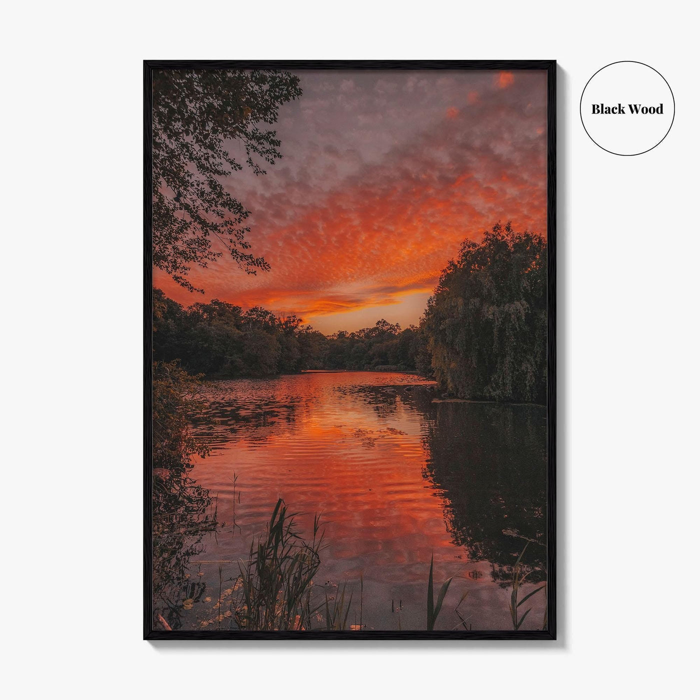 Prospect Park Lake Fine Art Photo Print, Brooklyn, New York City, USA, Poster