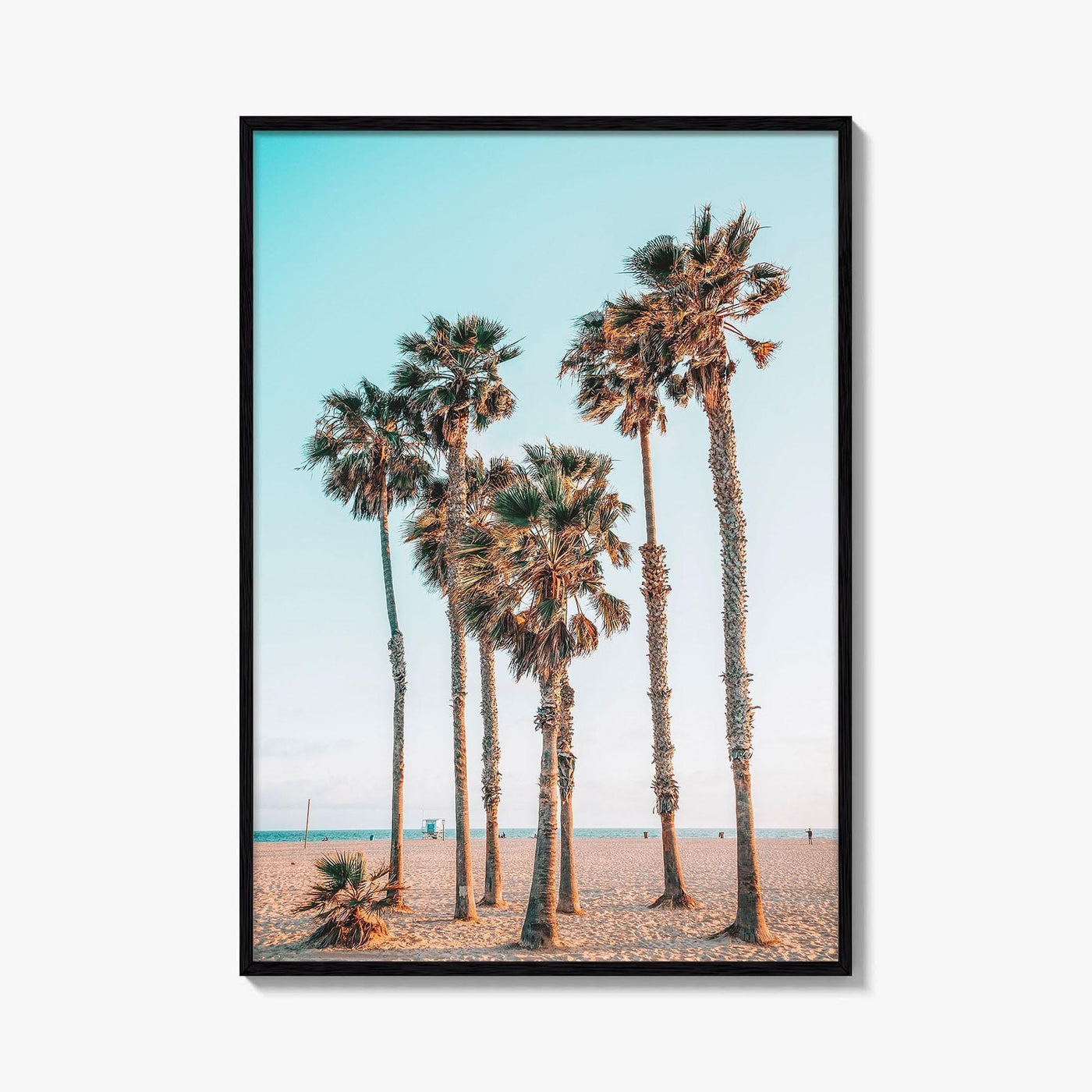 Santa Monica Fine Art Photo Print, Los Angeles, California Beach, Palm Trees, Wall Poster