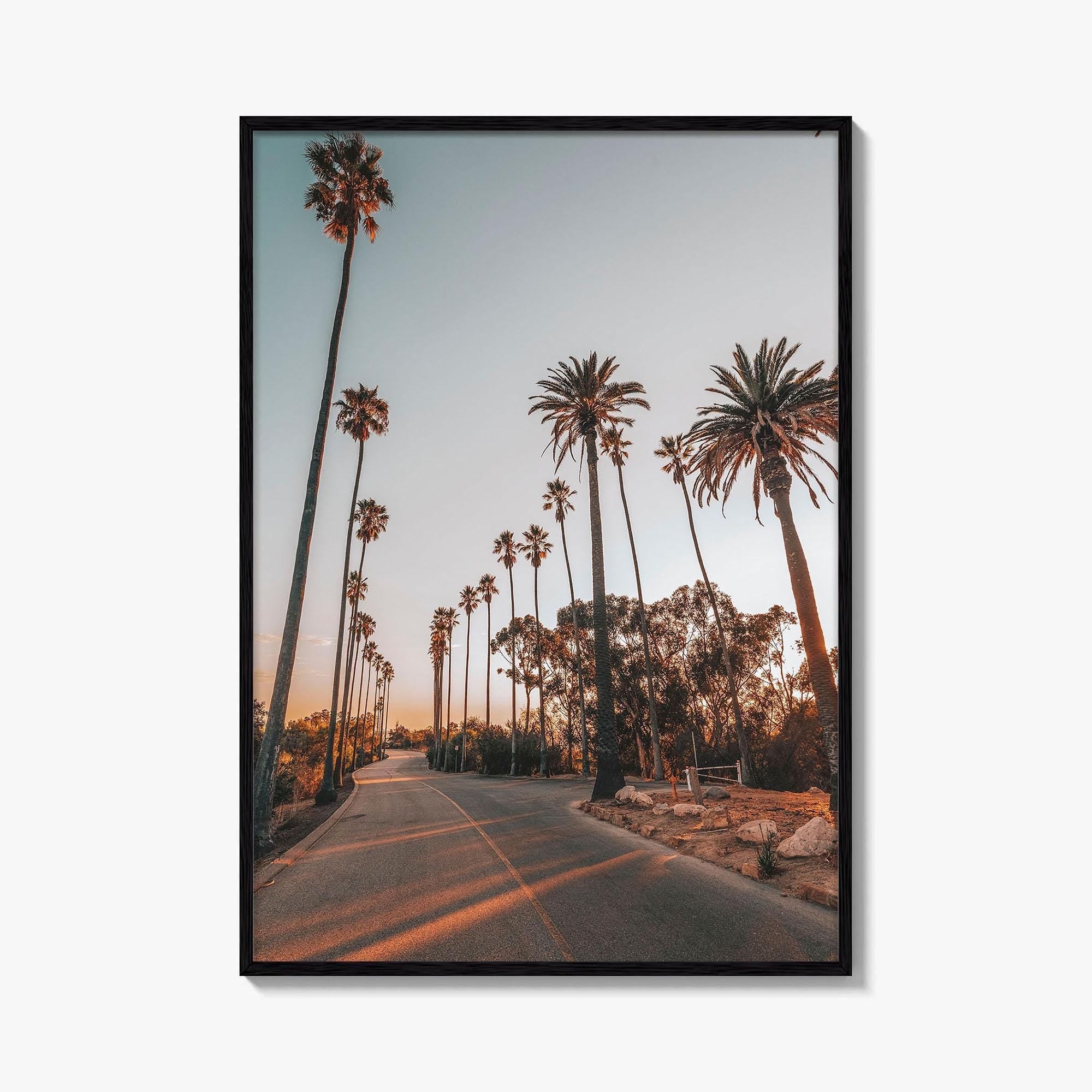 Los Angeles Fine Art Photo Print, Elysian Park, Palm Trees, California Wall Decor