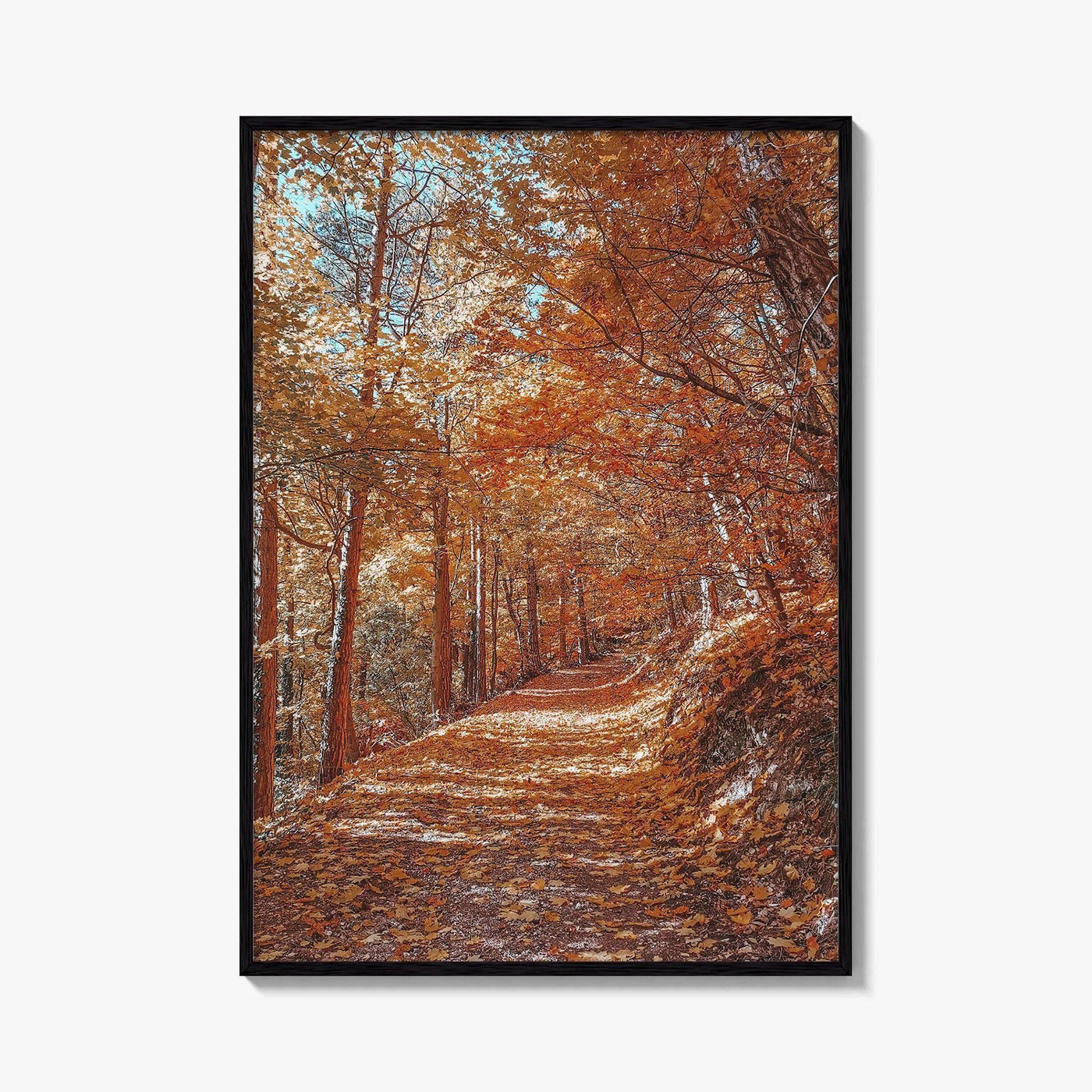 Tampa Mountain Fine Art Photo Print, Brasov Romania Poster, Transylvania Wall Art