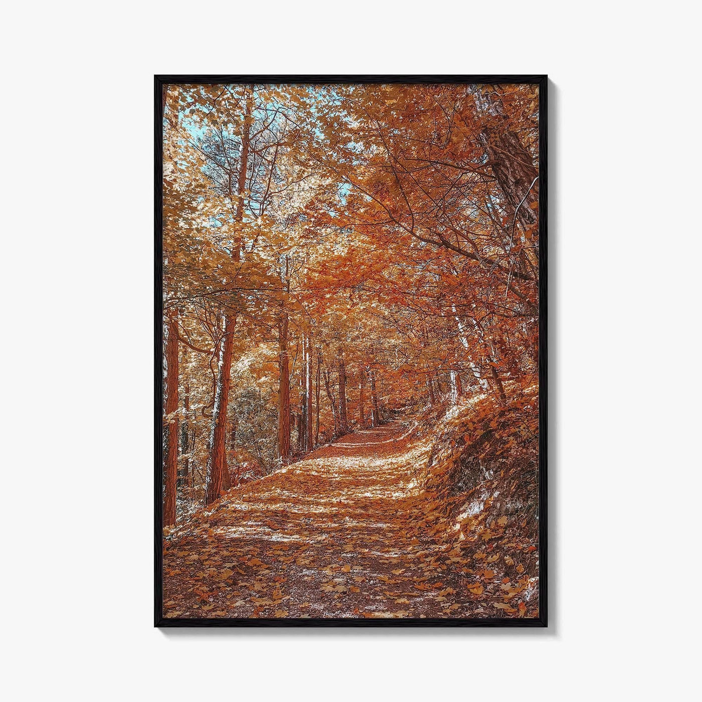 Tampa Mountain Fine Art Photo Print, Brasov Romania Poster, Transylvania Wall Art
