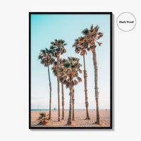 Santa Monica Fine Art Photo Print, Los Angeles, California Beach, Palm Trees, Wall Poster