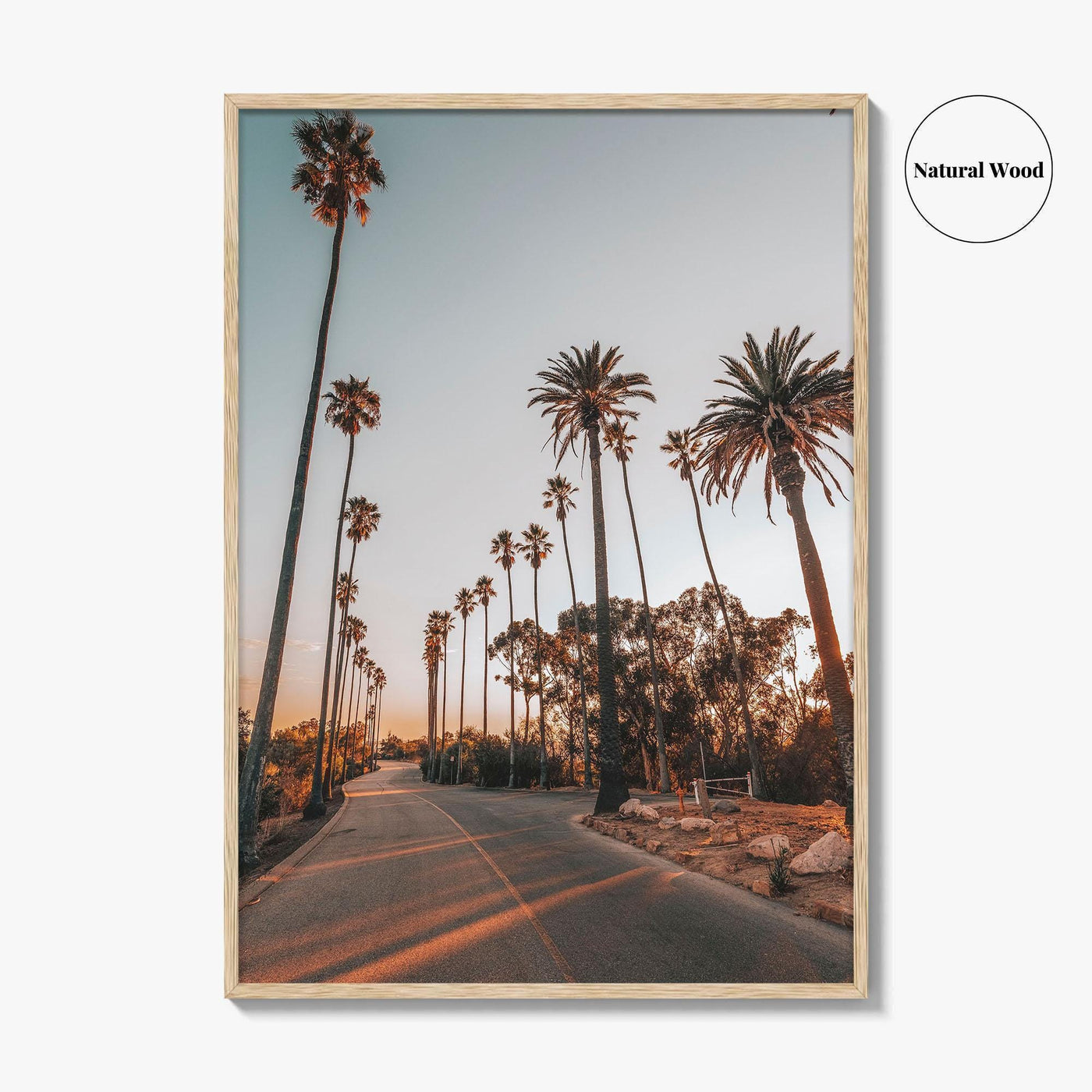 Los Angeles Fine Art Photo Print, Elysian Park, Palm Trees, California Wall Decor