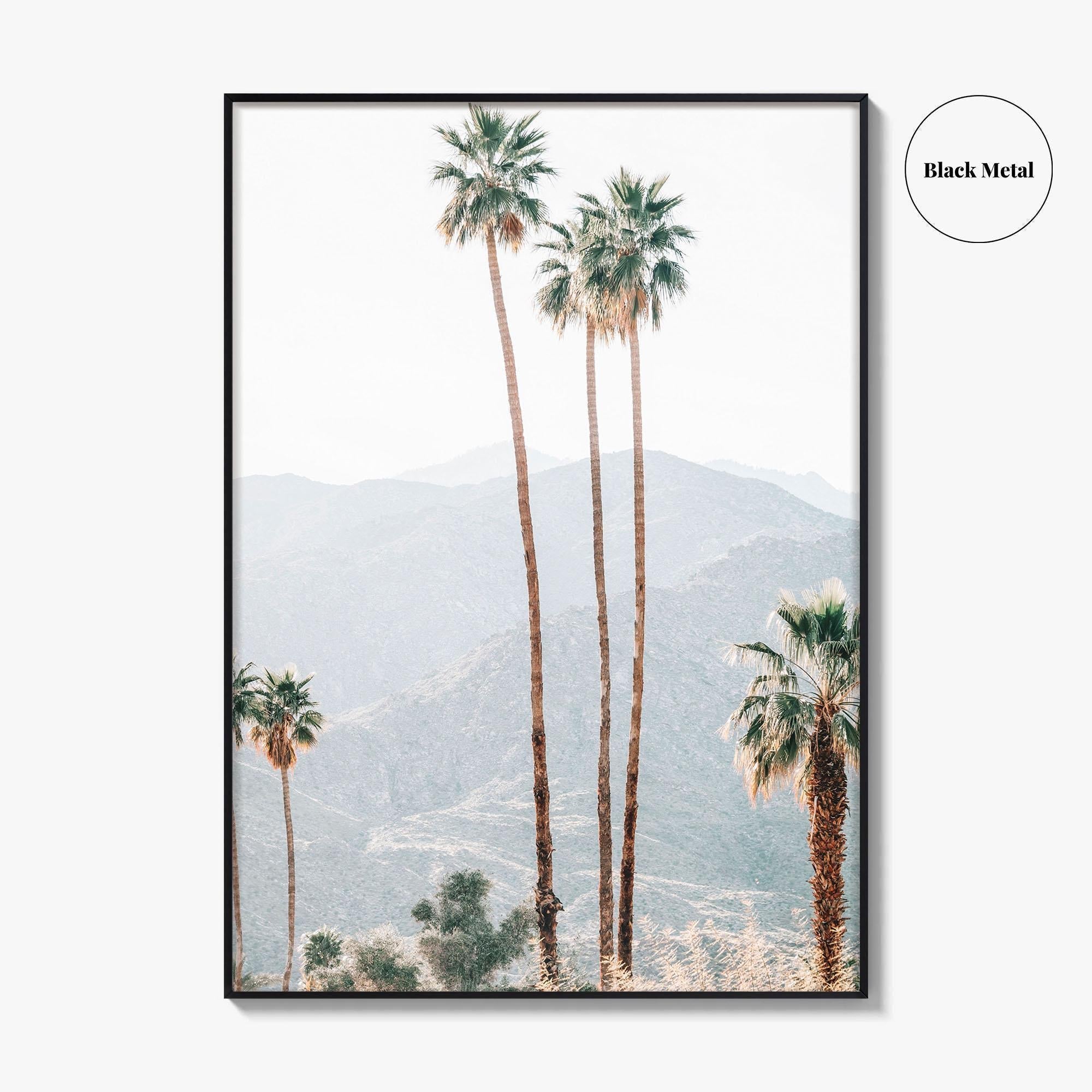 Palm Springs Fine Art Photo Print, Palm Trees, Mountains, California Poster, Coachella Valley