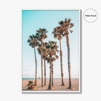 Santa Monica Fine Art Photo Print, Los Angeles, California Beach, Palm Trees, Wall Poster