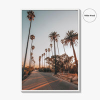 Los Angeles Fine Art Photo Print, Elysian Park, Palm Trees, California Wall Decor