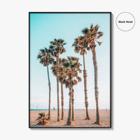Santa Monica Fine Art Photo Print, Los Angeles, California Beach, Palm Trees, Wall Poster