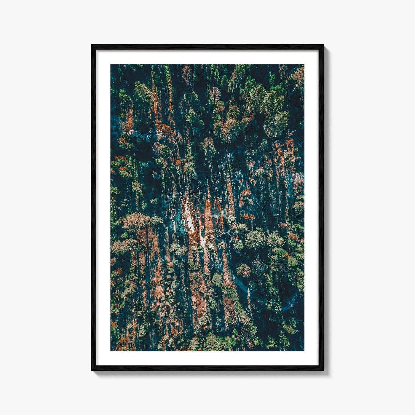 Sequoia National Park Fine Art Photo Print, California Wall Decor Poster, Aerial Forest USA