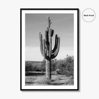 Mesa Arizona Black and White Fine Art Photo Print, Salt River, Phoenix, Saguaro Poster