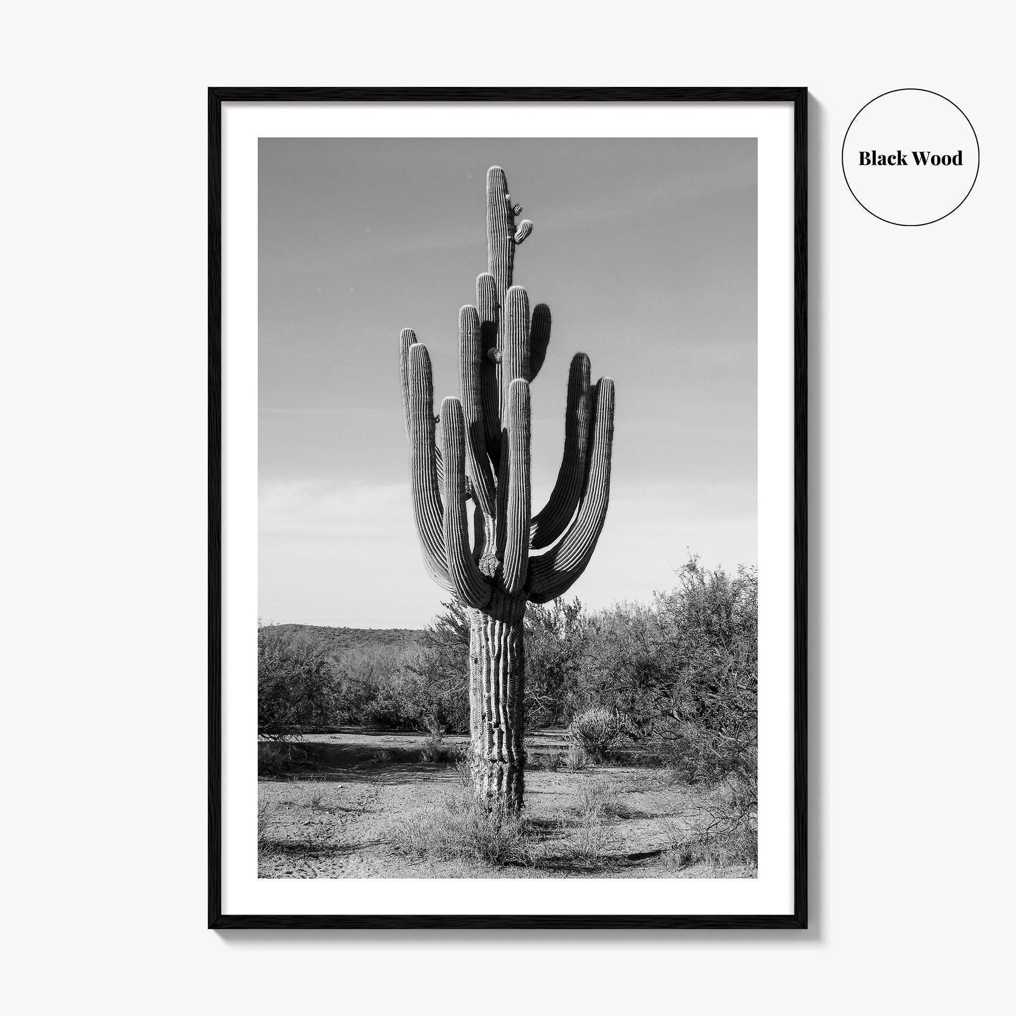 Mesa Arizona Black and White Fine Art Photo Print, Salt River, Phoenix, Saguaro Poster